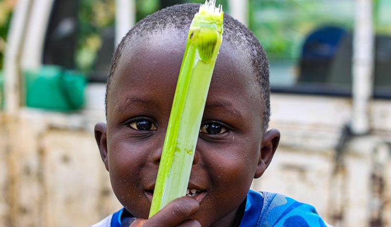 African child holding sugarcane