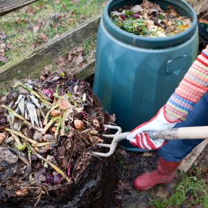 Composting in the backyard