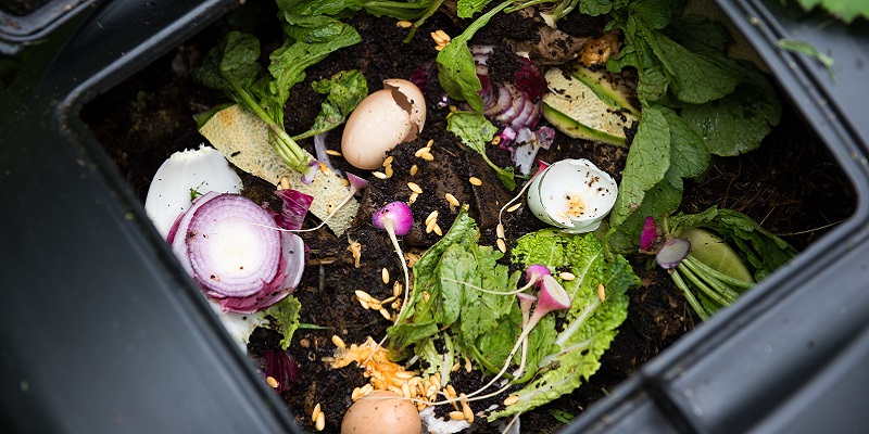 food in a compost pile