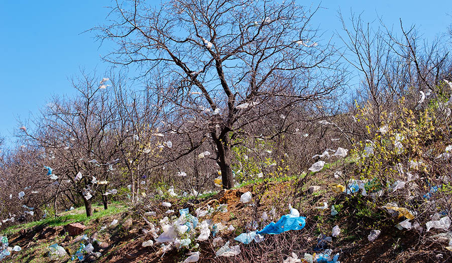 plastic bag pollution