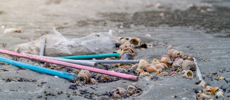 Plastic straw polluting beach