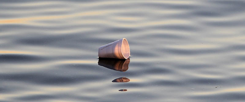 styrofoam cup in ocean