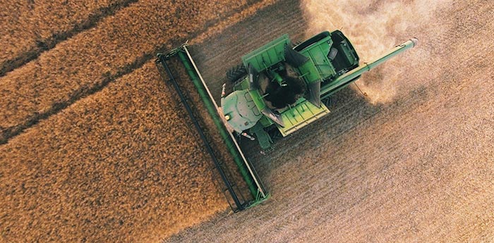 wheat-farming.jpg